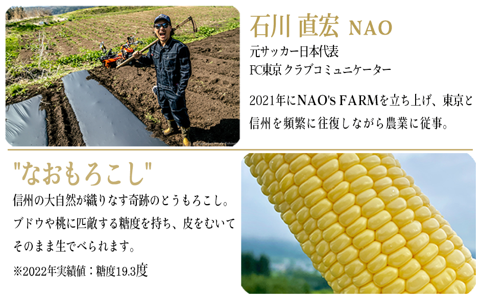 [ クール便 / 冷蔵便 ] 【 NAO's FARM 】 生で食べられる とうもろこし × 10本 2025年7月下旬頃から2025年8月中旬頃まで順次発送予定 令和7年度収穫分 株式会社みみずや 元サッカー日本代表 石川直宏 なおもろこし 信州 野菜 甘い トウモロコシ コーン とうきび 産地直送 長野 24000円 予約 長野県 飯綱町 [1716]