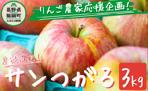 りんご サンつがる 家庭用・訳あり3kg 農家応援企画 【令和5年度収穫分 ...