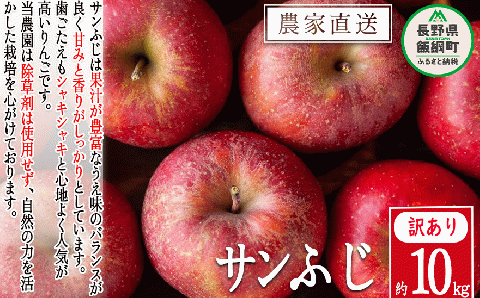 りんご サンふじ 訳あり 10kg 松澤農園 沖縄県への配送不可 2025年11月下旬頃から2026年2月上旬頃まで順次発送予定 令和7年度収穫分 長野県 飯綱町 [0503]