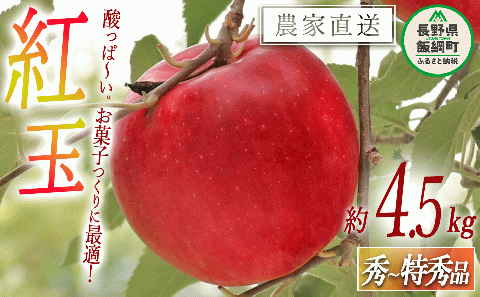 りんご 紅玉 秀 ～ 特秀 4.5kg （～23玉） ヒライ農園 沖縄県への配送不可 2025年10月上旬頃から2025年10月中旬頃まで順次発送予定 令和7年度収穫分 信州の環境にやさしい農産物認証 減農薬栽培 長野県 飯綱町 [0362]