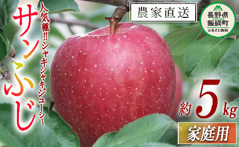 りんご サンふじ 家庭用 5kg ヒライ農園 沖縄県への配送不可 2025年12月上旬頃から2025年12月下旬頃まで順次発送予定 令和7年度収穫分 信州の環境にやさしい農産物認証 減農薬栽培 長野県 飯綱町 [0986]