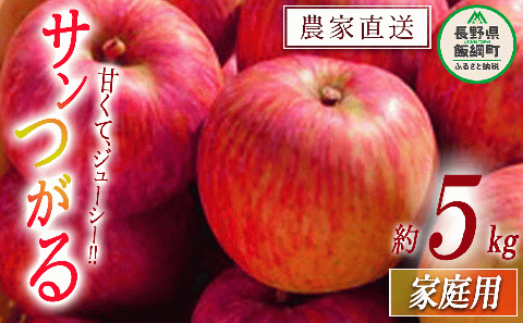 りんご サンつがる 家庭用 5kg ファームたんぽぽ 沖縄県への配送不可 2025年9月上旬頃から2025年9月中旬頃まで順次発送予定 令和7年度収穫分 信州 果物 フルーツ リンゴ 林檎 長野 予約 農家直送 長野県 飯綱町 [0730]