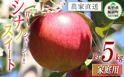 りんご シナノスイート 家庭用 5kg ファームたんぽぽ 2025年10月下旬頃から2025年11月上旬頃まで順次発送予定 令和7年度収穫分 信州 果物 フルーツ リンゴ 林檎 長野 予約 農家直送 長野県 飯綱町 [0733]