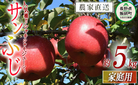 りんご サンふじ 家庭用 5kg ファームたんぽぽ 沖縄県への配送不可 2025年12月上旬頃から2026年1月中旬頃まで順次発送予定 令和7年度収穫分 信州 果物 フルーツ リンゴ 林檎 長野 予約 農家直送 長野県 飯綱町 [0735]