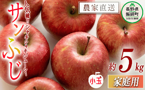 りんご サンふじ ( 小玉 ) 家庭用 5kg 沖縄県への配送不可 2024年12月中旬頃から2024年12月下旬まで順次発送予定 令和6度収穫分 静谷りんご園 減農薬栽培 飯綱町 [1289]