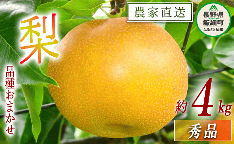 梨 朝どれ 和梨 秀品 4kg 以上 配送先は本州限定 2025年9月上旬頃から2025年10月上旬頃まで順次発送予定 窪田農園 令和7年度収穫分 除草剤不使用 長野県 飯綱町 [1468]