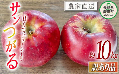りんご サンつがる 訳あり 10kg 令和7年度収穫分 沖縄県への配送不可 2025年9月上旬頃から2025年9月下旬頃まで順次発送予定 宮本ファーム エコファーマー 減農薬栽培 長野県 飯綱町 [1530]