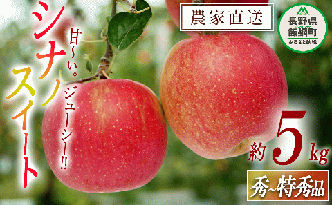 りんご シナノスイート 秀 ～ 特秀 5kg 渡辺農園 沖縄県への配送不可 2025年10月中旬頃から2025年11月上旬頃まで順次発送予定 令和7年度収穫分 エコファーマー認定 減農薬栽培 長野県 飯綱町 [0171]