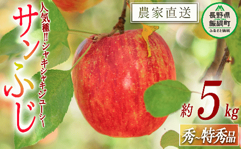 りんご サンふじ 秀 ～ 特秀 5kg 渡辺農園 沖縄県への配送不可 2025年12月上旬頃から2026年1月中旬頃まで順次発送予定 令和7年度収穫分 エコファーマー認定 減農薬栽培 長野県 飯綱町 [0169]