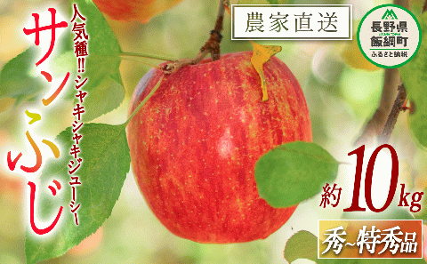 りんご サンふじ 秀 ～ 特秀 10kg 渡辺農園 2025年12月上旬頃から2026年1月中旬頃まで順次発送予定 令和7年度収穫分 エコファーマー認定 減農薬栽培 長野県 飯綱町 [0170]