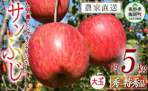 りんご サンふじ 秀 ～ 特秀 ( 大玉 ) 5kg 渡辺農園 沖縄県への配送不可 2025年12月上旬頃から2026年1月中旬頃まで順次発送予定 令和7年度収穫分 エコファーマー認定 減農薬栽培 長野県 飯綱町 [0804]
