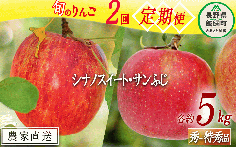 旬のりんご 【 定期便 】 秀 ～ 特秀 5kg × 2回 渡辺農園 沖縄県への配送不可 2025年10月中旬頃から2025年12月中旬頃まで順次発送予定 令和7年度収穫分 エコファーマー認定 減農薬栽培 長野県 飯綱町 [1147]