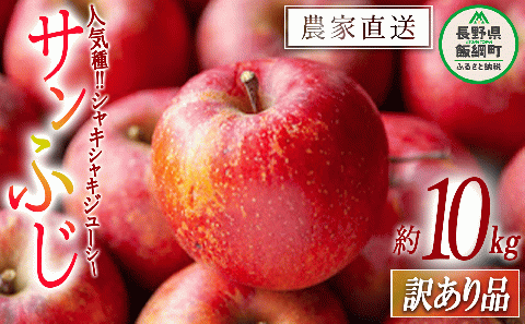 りんご サンふじ 訳あり 10kg 令和7年度収穫分 沖縄県への配送不可 2025年12月上旬頃から2025年12月下旬頃まで順次発送予定 宮本ファーム エコファーマー 減農薬栽培 長野県 飯綱町 [1492]
