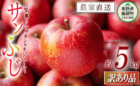 りんご サンふじ 訳あり 5kg 令和7年度収穫分 沖縄県への配送不可 2025年12月上旬頃から2025年12月下旬頃まで順次発送予定 宮本ファーム エコファーマー 減農薬栽培 長野県 飯綱町 [1521]