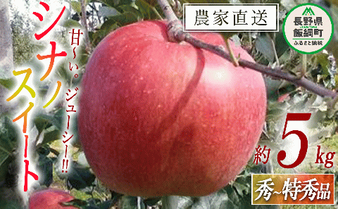 りんご シナノスイート 秀 ～ 特秀 5kg マルヤマフルーツ農園 沖縄県配送不可 2024年10月中旬頃～2024年11月上旬頃まで発送予定 令和6年度収穫分 減農薬 長野県 飯綱町 [0370]