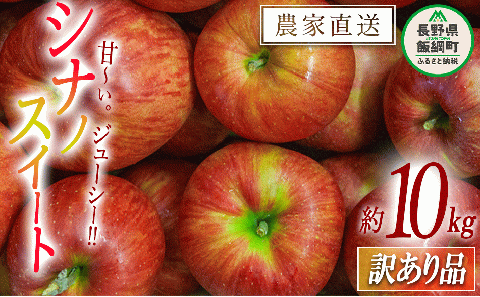 りんご シナノスイート 訳あり 10kg マルヤマフルーツ農園 沖縄県配送不可 2024年10月中旬頃～2024年11月上旬頃まで順次発送予定 令和6年度収穫分 減農薬 長野県 飯綱町 [0371]