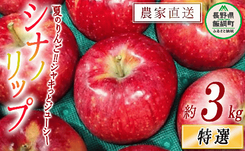 りんご シナノリップ 特選 3kg やまじゅうファーム 沖縄県への配送不可 2025年8月下旬頃から2025年9月上旬頃まで順次発送予定 令和7年度収穫分 信州の環境にやさしい農産物 減農薬栽培 長野県 飯綱町 [0850]