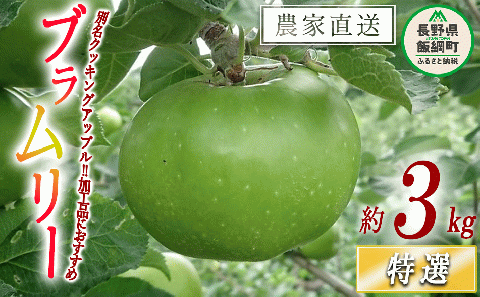 りんご ブラムリー 特選 3kg やまじゅうファーム 沖縄県への配送不可 2025年8月中旬頃から2025年8月下旬頃まで順次発送予定 信州の環境にやさしい農産物 減農薬栽培 令和7年度収穫分 長野県 飯綱町 [0852]