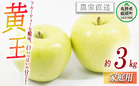 りんご 黄王 家庭用 3kg 永野農園 沖縄県への配送不可 2025年8月中旬頃から2025年8月下旬頃まで順次発送予定 令和7年度収穫分 信州 果物 フルーツ リンゴ 林檎 長野 予約 農家直送 長野県 飯綱町 [0486]