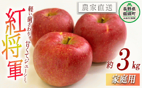 りんご 紅将軍 家庭用 3kg 永野農園 沖縄県への配送不可 2025年9月下旬頃から2025年10月上旬頃まで順次発送予定 令和7年度収穫分 信州 果物 フルーツ リンゴ 林檎 長野 予約 農家直送 長野県 飯綱町 [0798]