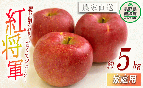 りんご 紅将軍 家庭用 5kg 永野農園 沖縄県への配送不可 2025年9月下旬頃から2025年10月上旬頃まで順次発送予定 令和7年度収穫分 信州 果物 フルーツ リンゴ 林檎 長野 予約 農家直送 長野県 飯綱町 [1556]