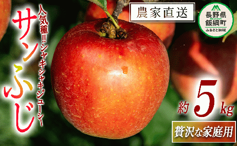 りんご サンふじ 贅沢な 家庭用 5kg 永野農園 沖縄県への配送不可 2025年12月上旬頃から2026年2月上旬頃まで順次発送予定 令和7年度収穫分 信州 果物 フルーツ リンゴ 林檎 長野 予約 農家直送 長野県 飯綱町 [0489]