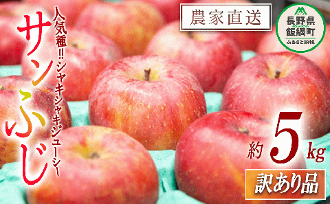 りんご サンふじ 訳あり 5kg 永野農園 沖縄県への配送不可 2025年12月上旬頃から2026年2月上旬頃まで順次発送予定 令和7年度収穫分 信州 果物 フルーツ リンゴ 林檎 長野 予約 農家直送 長野県 飯綱町 [1250]