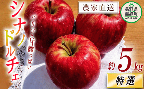 りんご シナノドルチェ 特選 5kg やまじゅうファーム 沖縄県への配送不可 2025年9月中旬頃から2025年10月上旬頃まで順次発送予定 令和7年度収穫分 信州の環境にやさしい農産物 減農薬栽培 長野県 飯綱町 [0514]