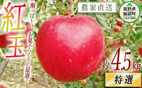 りんご 紅玉 特選 4.5kg やまじゅうファーム 沖縄県への配送不可 2025年10月上旬頃から2025年10月中旬頃まで順次発送予定 令和7年度収穫分 信州の環境にやさしい農産物 減農薬栽培 長野県 飯綱町 [0516]