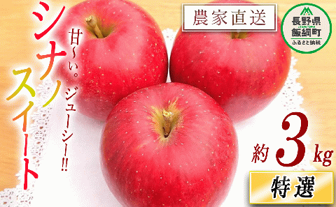 りんご シナノスイート 特選 3kg やまじゅうファーム 沖縄県への配送不可 2025年10月中旬頃から2025年10月下旬頃まで順次発送予定 令和7年度収穫分 信州の環境にやさしい農産物 減農薬栽培 長野県 飯綱町 [0521]
