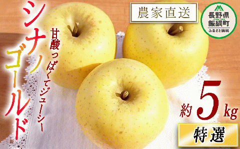 りんご シナノゴールド 特選 5kg やまじゅうファーム 沖縄県への配送不可 2025年11月上旬頃から2025年11月下旬頃まで順次発送予定 令和7年度収穫分 信州の環境にやさしい農産物 減農薬栽培 長野県 飯綱町 [0855]