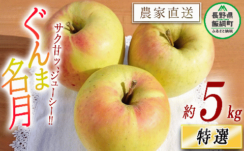 りんご ぐんま名月 特選 5kg やまじゅうファーム 沖縄県への配送不可 2025年11月下旬頃から2025年12月上旬頃まで順次発送予定 令和7年度収穫分 信州の環境にやさしい農産物 減農薬栽培 長野県 飯綱町 [0528]