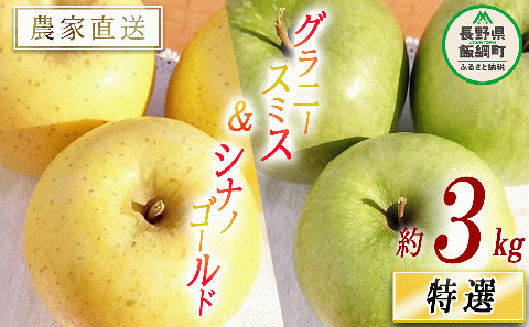 りんご シナノゴールド ＆ グラニースミス 特選 3kg 詰め合わせ セット やまじゅうファーム 沖縄県への配送不可 2025年11月下旬頃から2025年12月上旬頃まで順次発送予定 令和7年度収穫分 信州の環境にやさしい農産物 減農薬栽培 長野県 飯綱町 [1029]