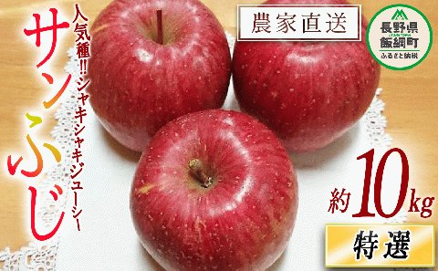 りんご サンふじ 特選 10kg やまじゅうファーム 2025年12月上旬頃から2025年12月中旬頃まで順次発送予定 令和7年度収穫分 信州の環境にやさしい農産物 減農薬栽培 長野県 飯綱町 [0535]