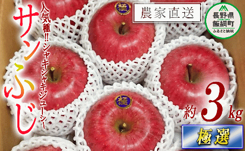 りんご サンふじ 極選 3kg やまじゅうファーム 沖縄県への配送不可 2025年12月上旬頃から2025年12月下旬頃まで順次発送予定 令和7年度収穫分 信州の環境にやさしい農産物 減農薬栽培 特秀 秀 グルメ 長野県 飯綱町 [0536]