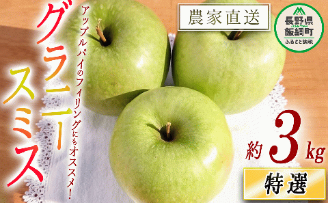 りんご グラニースミス 特選 3kg やまじゅうファーム 沖縄県への配送不可 2025年12月中旬頃から2026年1月下旬頃まで順次発送予定 令和7年度収穫分 信州の環境にやさしい農産物 減農薬栽培 長野県 飯綱町 [0530]