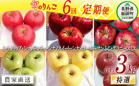 旬のりんご 【 定期便 】 特選 3kg × 6回 やまじゅうファーム 沖縄県への配送不可 2025年8月下旬頃から2026年1月下旬頃まで順次発送予定 令和7年度収穫分 信州の環境にやさしい農産物 減農薬栽培 長野県 飯綱町 [0856]