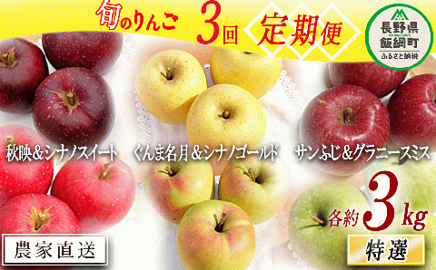旬のりんご 【 定期便 】 2品種 詰め合わせ 特選 3kg × 3回 やまじゅうファーム 沖縄県への配送不可 2025年10月中旬頃から2025年12月下旬頃まで順次発送予定 令和7年度収穫分 信州の環境にやさしい農産物 減農薬栽培 長野県 飯綱町 [1031]