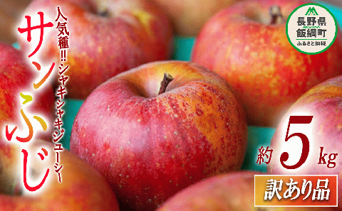 【 訳あり品 】 りんご サンふじ 訳あり 5kg 沖縄県への配送不可 2025年12月上旬頃から2026年2月下旬頃まで順次発送予定 ふるさと振興公社 林檎 リンゴ 長野県 飯綱町 [1562]