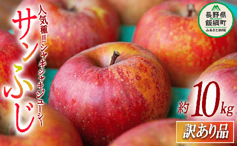 【 訳あり品 】 りんご サンふじ 訳あり 10kg 2025年12月上旬頃から2026年2月下旬頃まで順次発送予定 ふるさと振興公社 リンゴ 林檎 長野県 飯綱町 [0289]