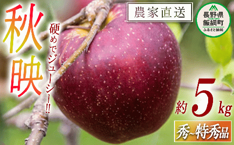 りんご 秋映 秀 ～ 特秀 5kg 松橋りんご園 沖縄県への配送不可 2025年10月上旬頃から2025年10月中旬頃まで順次発送予定 令和7年度収穫分 リンゴ 信州 長野県 飯綱町 [0128]