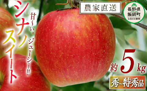 りんご シナノスイート 秀 ～ 特秀 5kg 松橋りんご園 沖縄県への配送不可 2025年10月上旬頃から2025年11月上旬頃まで順次発送予定 令和7年度収穫分 信州 長野県 飯綱町 [0129]