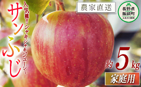 りんご サンふじ 家庭用 5kg 松橋りんご園 沖縄県への配送不可 2025年12月上旬頃から2026年3月上旬頃まで順次発送予定 令和7年度収穫分 信州 長野県 飯綱町 [0829]