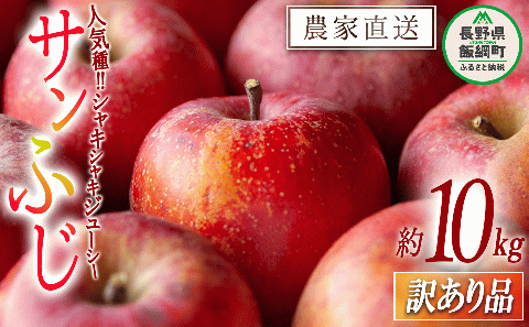 りんご サンふじ 訳あり 10kg 松橋りんご園 2025年12月中旬頃から2026年3月上旬頃まで順次発送予定 令和7年度収穫分 信州 長野県 飯綱町 [0552]