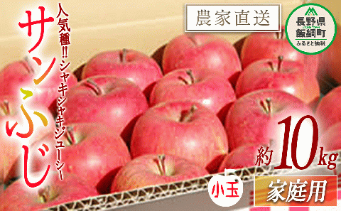 りんご サンふじ 家庭用 ( 小玉 ) 10kg 松橋りんご園 沖縄県への配送不可 2026年1月上旬頃から3月上旬頃まで順次発送予定 令和7年度収穫分 長野県 飯綱町 [0630]