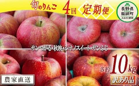 旬のりんご 【 定期便 】 訳あり 9kg ～ 10kg × 4回 松橋りんご園 沖縄県配送不可 2025年9月上旬頃～12月下旬頃まで順次発送予定 令和7年度収穫分 飯綱町 [0832]