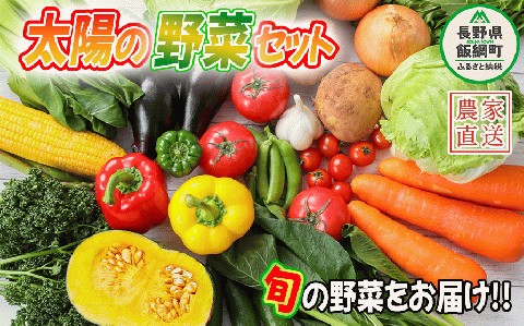 野菜 太陽の野菜セット 【 季節ごと旬の野菜 】 配送先は本州限定 クール便 2025年7月上旬頃から2025年11月上旬頃まで順次発送予定 ビオ農産物 太陽の恵み ( 化学肥料 除草剤 不使用 ) 長野県 飯綱町 [0009]