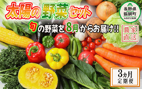 野菜 太陽の野菜セット 【 8月から 3か月 定期便 】 季節ごと旬の野菜 配送先は本州限定 2025年8月中旬頃から2025年10月中旬頃まで順次発送予定 ビオ農産物 太陽の恵み ( 化学肥料 除草剤 不使用 ) 長野県 飯綱町 [1041]