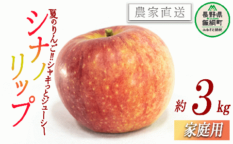 りんご 暑さに負けない 食べきり シナノリップ 家庭用 3kg 大友農場 エコファーマー認定 沖縄県への配送不可 2025年8月中旬頃から2025年9月初旬頃まで順次発送予定 令和7年度収穫分 信州 果物 フルーツ リンゴ 林檎 長野 予約 農家直送 長野県 飯綱町 [1547]