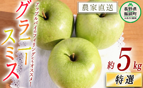 りんご グラニースミス 特選 5kg やまじゅうファーム 沖縄県への配送不可 2025年12月中旬頃から2026年1月下旬頃まで順次発送予定 令和7年度収穫分 信州の環境にやさしい農産物 減農薬栽培 長野県 飯綱町 [0531]